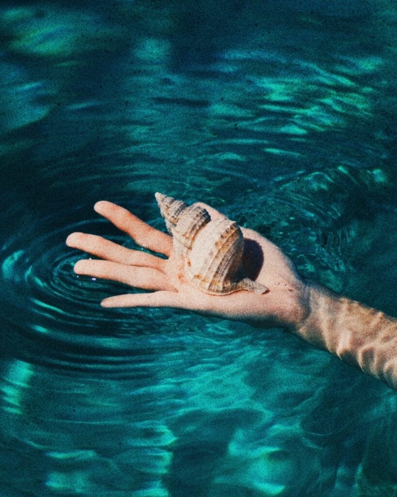 Mano sosteniendo una concha marina sobre el agua, simbolizando la evolución profesional
